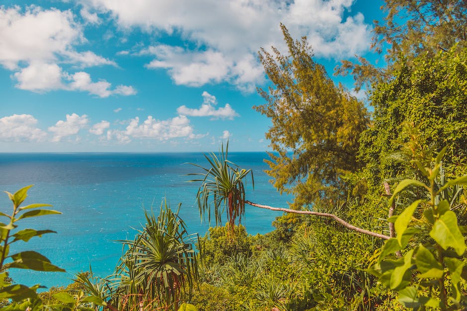 Warum ist das Meer blau - ein visueller Vergleich zwischen Ozean und Seen