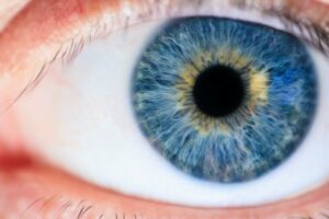 Lidschattenfarbe für blaue Augen